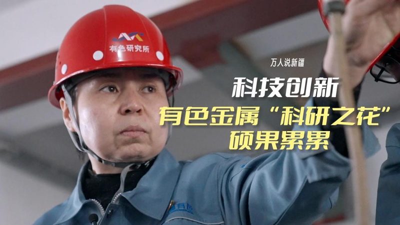 软件定制开发：揭秘十大品牌背后的技术差异与选择要点